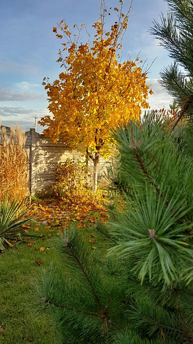 Продаж Будинок 2-кімнатний на Вентова ул., 30 Вильна Тарасовка - изображение 11