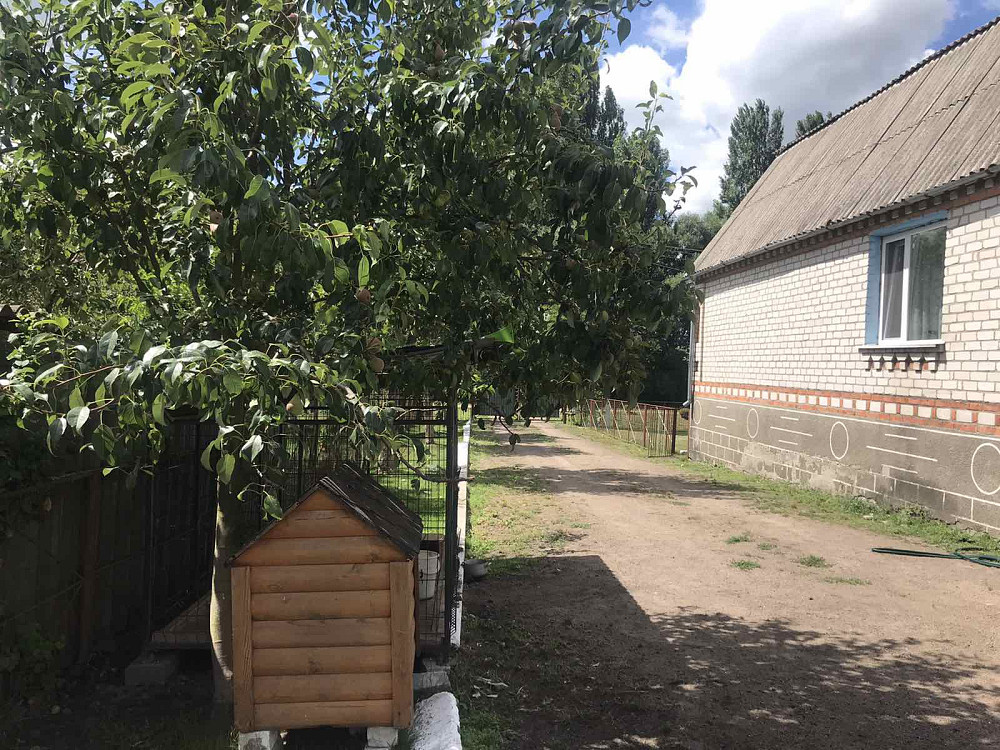 Продаж 1-поверховий Будинок з ділянкою 15 сот 120 кв.м 3 кімн. на Пулины Житомир - изображение 3