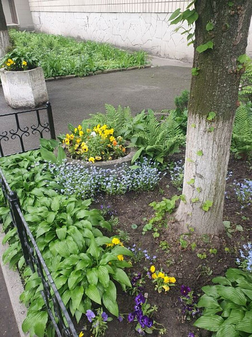 Продаж Квартира 3-кімнатна, 9/9 поверх на Андрея Малышка, 31 А Київ - фото 19