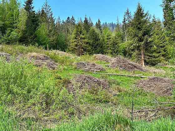 Продаж земельної ділянки 20 соток на вул. Під Митою Орявчик