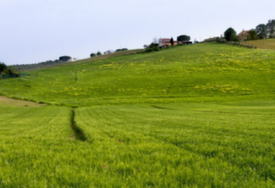 Продаж земельної ділянки 0.1 соток на ул. Цветочная, 27 Odessa - photo 2