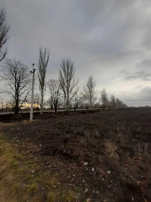 Продаж земельної ділянки 24 соток Кропивницький - фото 5