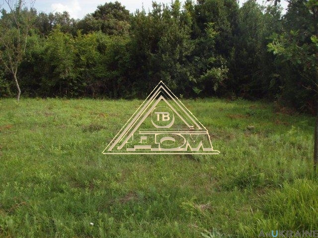 Дом в с. Фонтанка. Фонтанка - фото 5