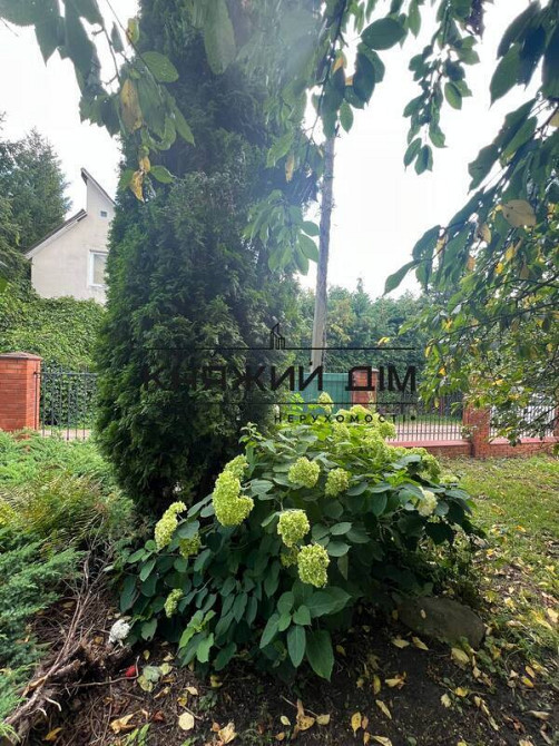 БЕЗ КОМІСІЇ! Продаж 3-поверхового будинку в СТ Берізка, с.Новосілки. ГАЗ. № 2211786 Novosilky (Ivankivskyi raion) - photo 18