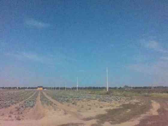 Продаж земельної ділянки 25 соток на кооп. Солнечный 