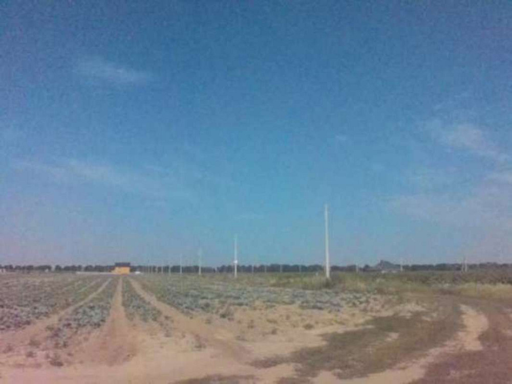 Продаж земельної ділянки 25 соток на кооп. Солнечный  - фото 5