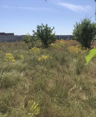 Продаж земельної ділянки 0.1 соток на КООП Хуторок, 3/25 Лиманка