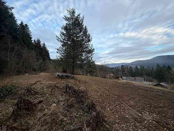 Продаж земельної ділянки 10 соток на вул. лісна Сколе