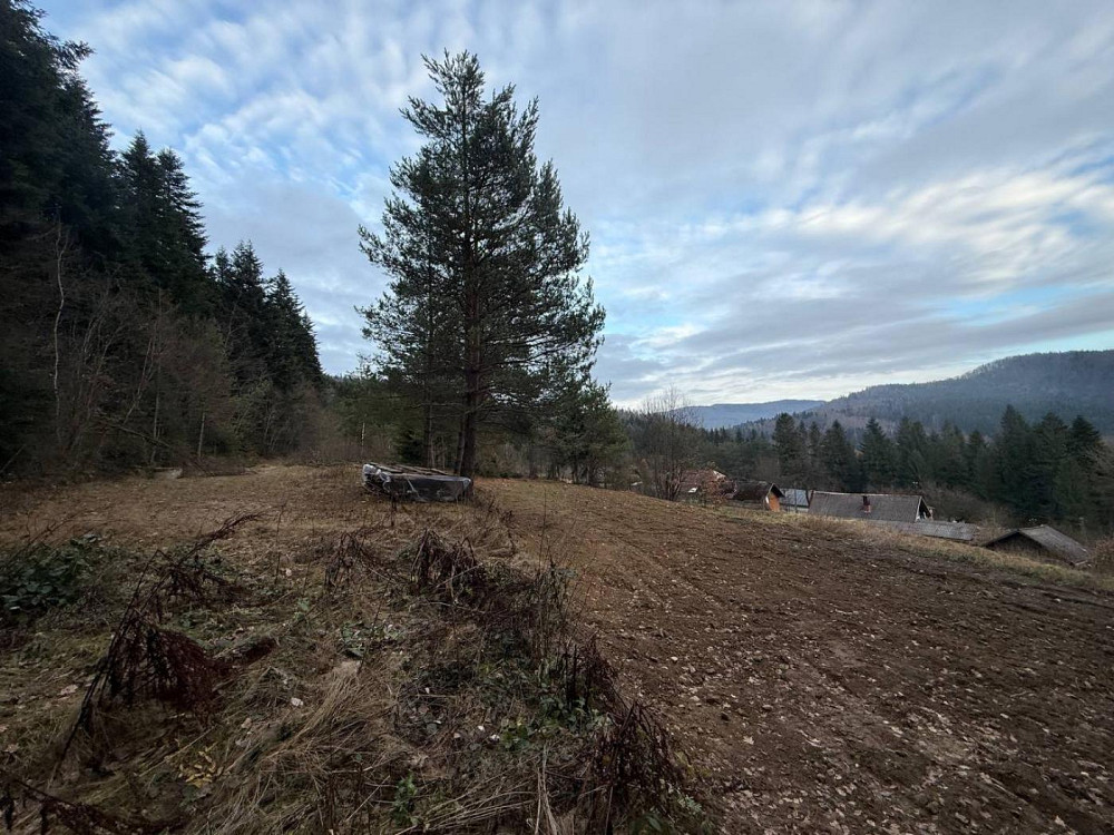 Продаж земельної ділянки 10 соток на вул. лісна Сколе - фото 3