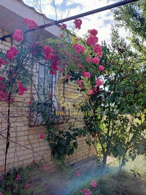 Продається дачний будинок в с.Красний Ріг Бородянського району.  - фото 11