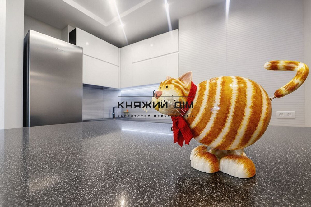 Оренда Квартира 2-кімнатна, 12/25 поверх на Победы просп./ Берестейский просп. Kiev - photo 18