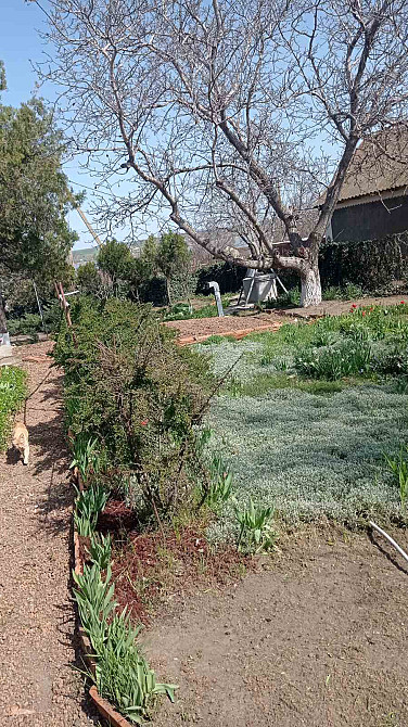 Продаж земельної ділянки 0 соток на ул. Тупиковый 1-й пер, 15 Одесса - изображение 12