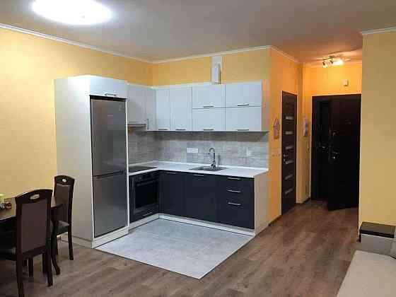 Оренда Квартира 1-кімнатна, 7/25 поверх на ул. Елены Пчилки Київ