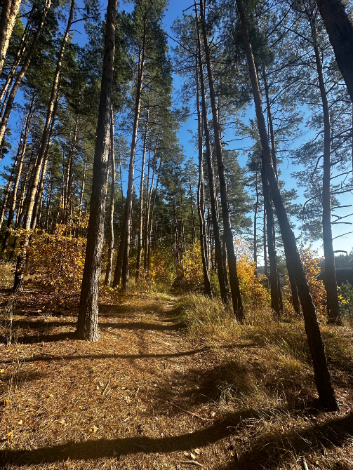 Ранчо, Подобова оренда будинку під Київом, чан джакузі, ліс та озера Київ - фото 20