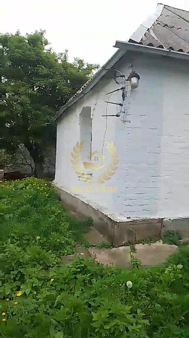 Продам будинок у Денихівці, 3 кімнати Денихівка - фото 8