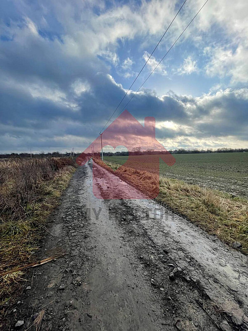 Продаж земельної ділянки 2 га  - фото 6