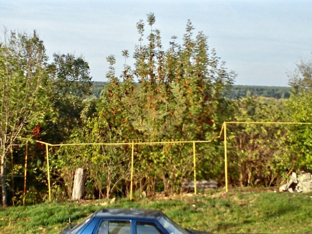 продам будинок біла церква Bila Tserkva - photo 15