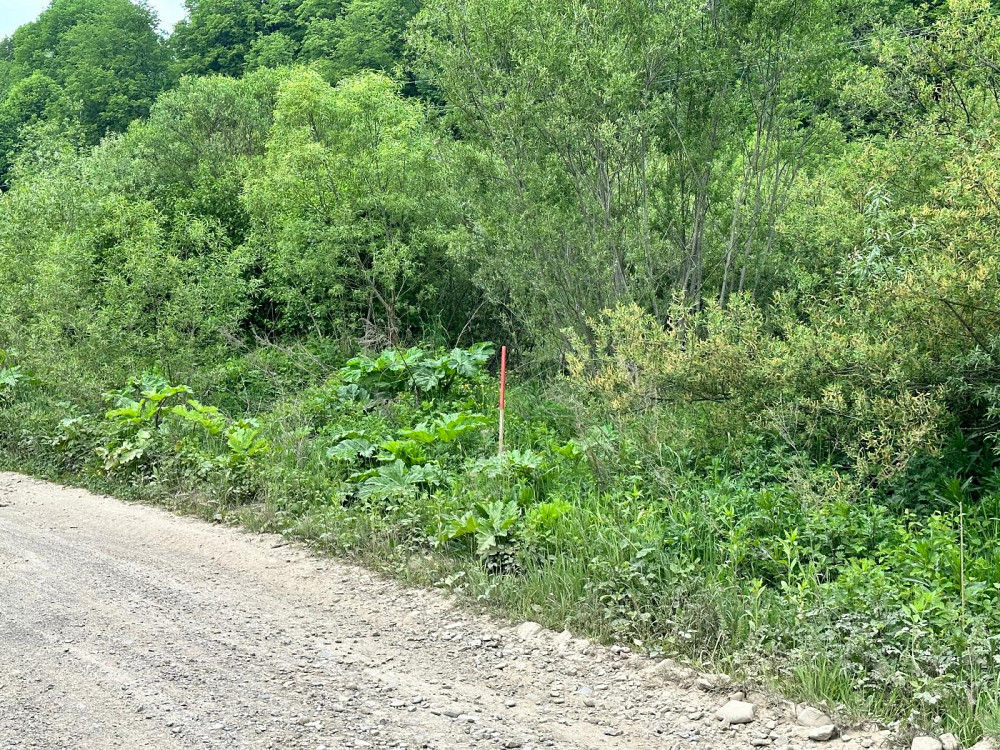 Продаж Квартира на улица Стрийська 21  - изображение 5