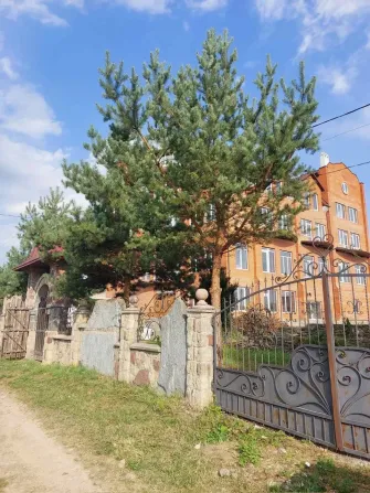 Продаж База відпочинку / готель площа 1736 кв.м на вулиця Набережна Івано-Франківськ - фото 10