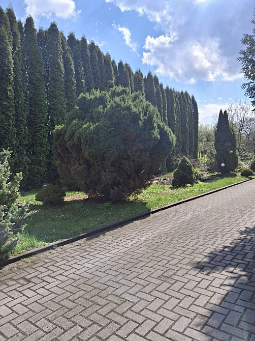 Продаж торгове приміщення на вул.Березина поверх - 1 Кременець - фото 7