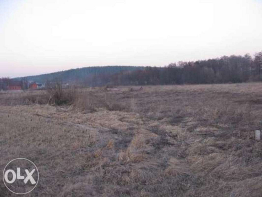 Продаж земельної ділянки 12 соток  - фото 2