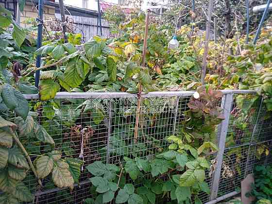 Продаж Будинок 3-кімнатний на вул. Жихірська Покотиловка