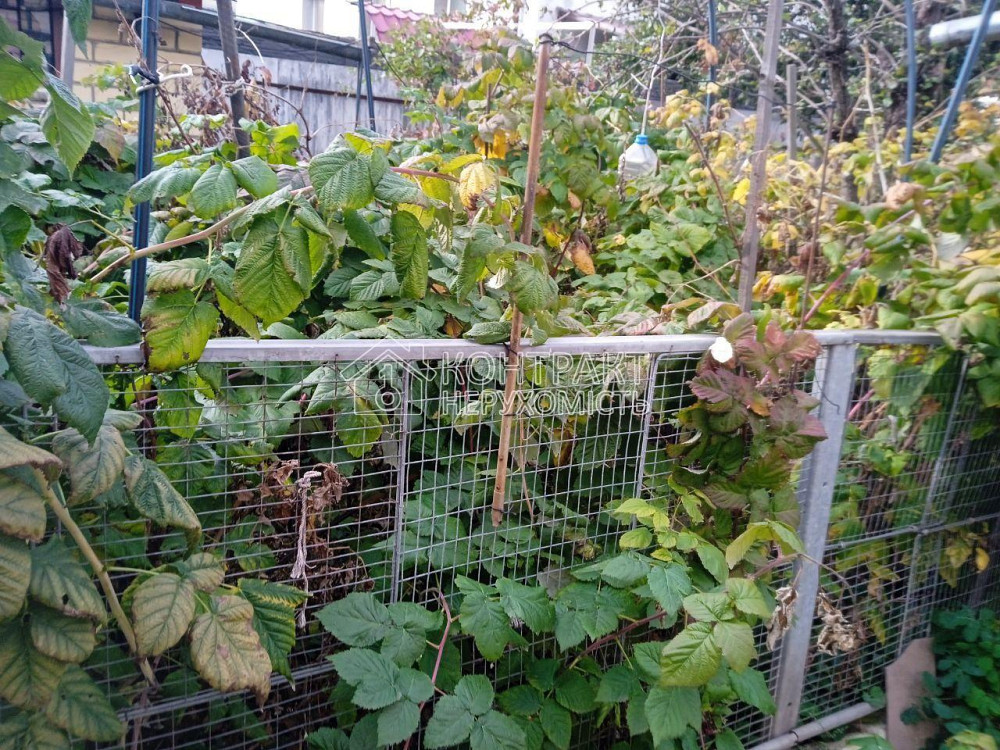 Продаж Будинок 3-кімнатний на вул. Жихірська Pokotylivka - photo 4