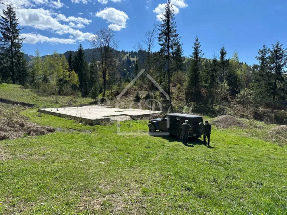 Продаж земельної ділянки 80 соток на Довга Верхній Ясенів - фото 14