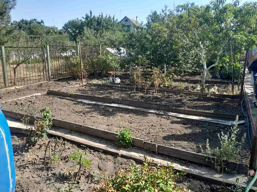 Продам дачу в с.Христиновка возле Хаджибеевского лимана Єгорівка - фото 17