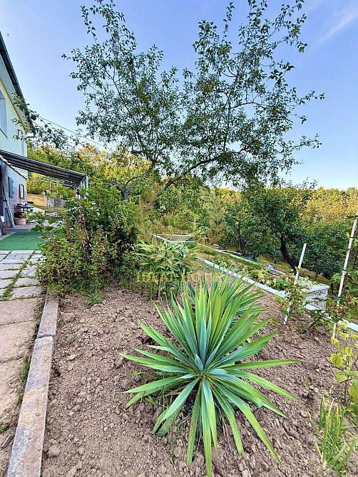 Продам дачный дом Ходосівка, Грушева вул. Ходосовка - изображение 12