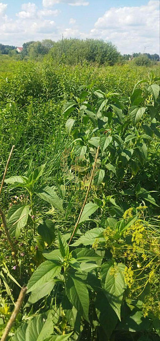 Продаж земельної ділянки 10 соток  - фото 5