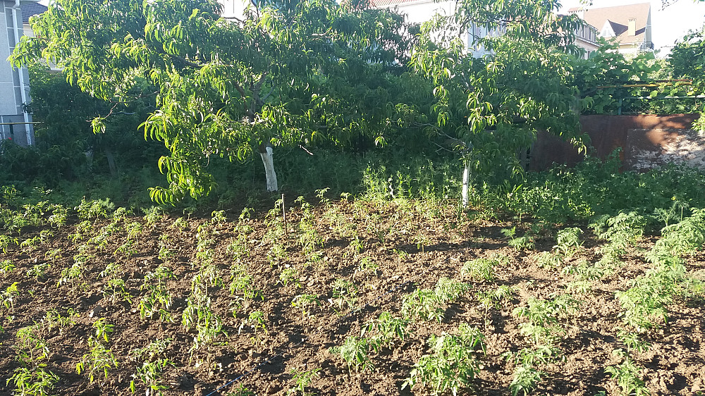 Продаж земельної ділянки 0.3 соток на переулок Красный, 15 Великая Балка - изображение 14