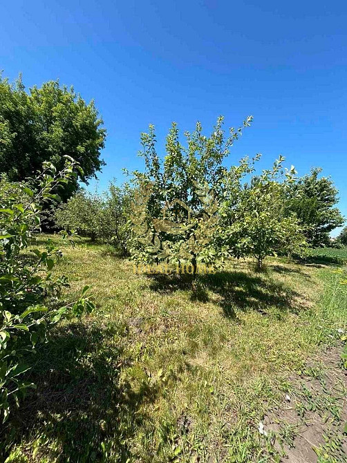 продам будинок в розалівці  - фото 11