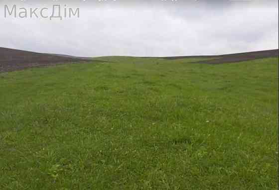 Продаж Будинок Pochapyntsi