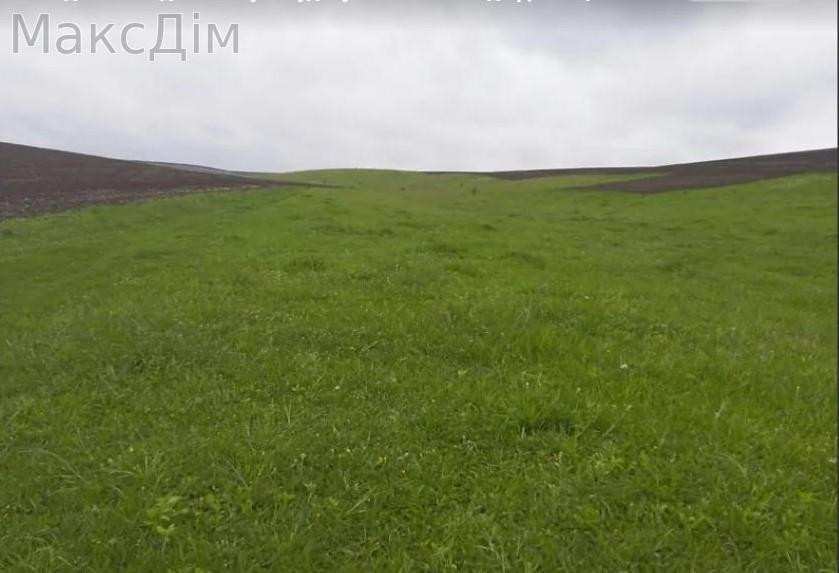 Продаж Будинок Pochapyntsi - photo 4