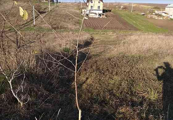 Продаж земельної ділянки 12 соток Тернопіль