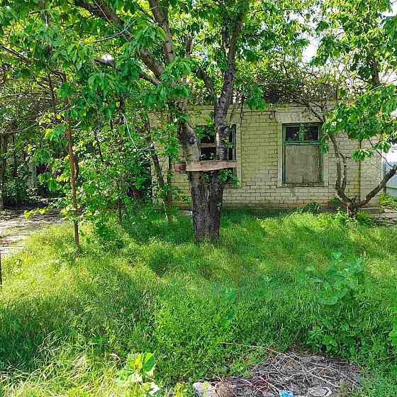 Продам дом в с. Нерубайское. Нерубайське