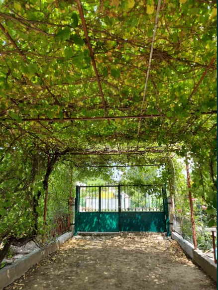 Продам дом в Кремидовке (30 км от Одессы) Кремидівка - фото 7