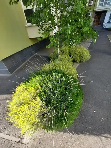 Продаж 2к Квартира 66.2 кв.м ЖК Levanevsky Миколаїв - фото 14