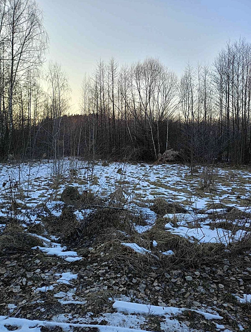 Продаж земельної ділянки 12 соток на Оліївка Житомир - фото 2