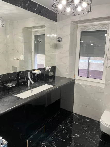 Продам шикарный дом, 10 соток в Лесках Ліски (Комінтернівський район) - фото 14