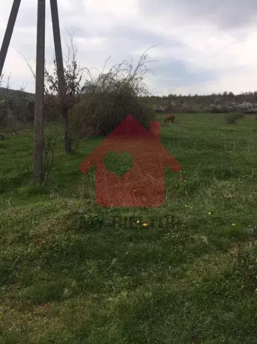 Продаж земельної ділянки 80 соток  - photo 1