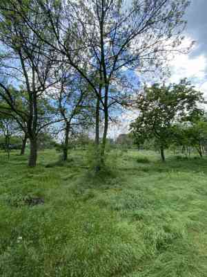 Продаж земельної ділянки 0.1 соток на ул. Литературная, 1 Одеса