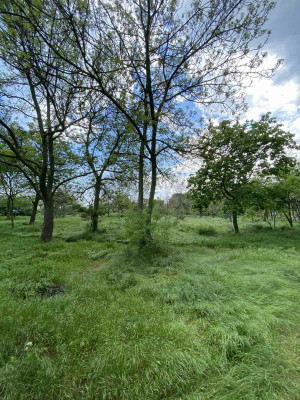 Продаж земельної ділянки 0.1 соток на ул. Литературная, 1 Одеса - фото 4