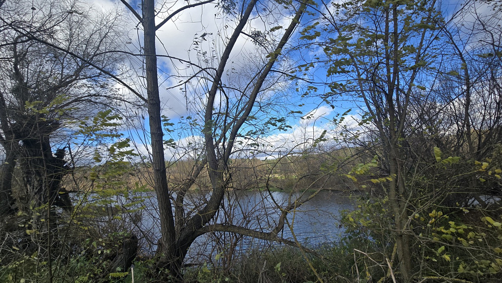 Продаж земельної ділянки 12.8 соток на Петра Соломка Быстри - фото 12