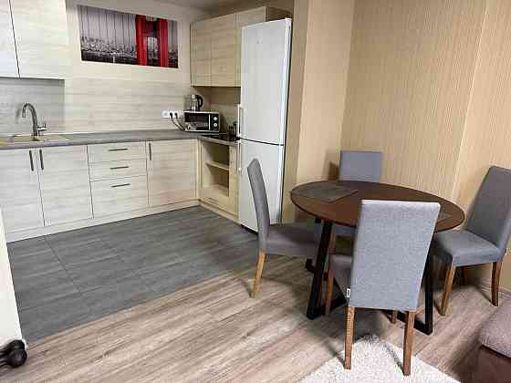 Оренда Квартира 1-кімнатна, 12/25 поверх на Лепсе Івана бул., 6В Киев