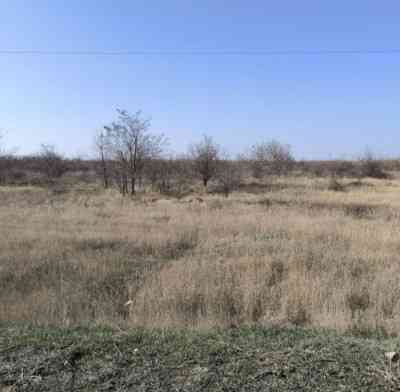 Продаж земельної ділянки 0.1 соток на ул. Першотравнева, 25 Dachne