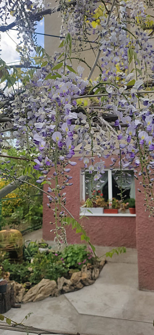 Продажа дома в Великодолинском, СК "Восход" Молодіжне - фото 2