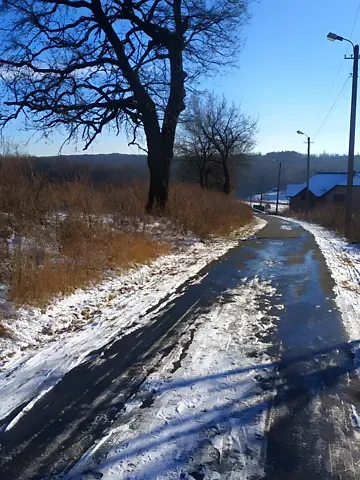 Продажа земельного участка  площадь 10 сот Вишнева вулиця 1  - изображение 2