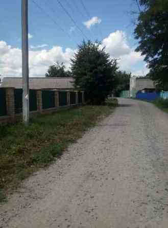 Продаж земельної ділянки 25 соток Сеньківка